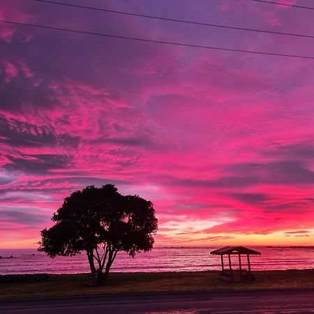 The Anchor Inn Beachfront Motel Kaikoura Dış mekan fotoğraf