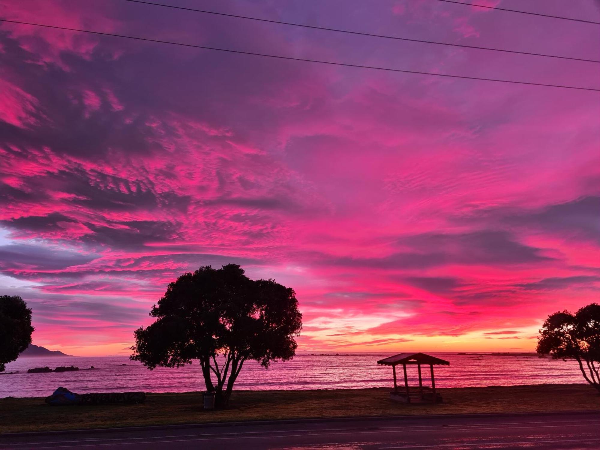 The Anchor Inn Beachfront Motel Kaikoura Dış mekan fotoğraf